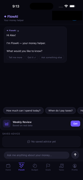 FlowMoney AI assistant